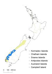 Veronica cockayneana distribution map based on databased records at AK, CHR & WELT.
 Image: K.Boardman © Landcare Research 2022 CC-BY 4.0